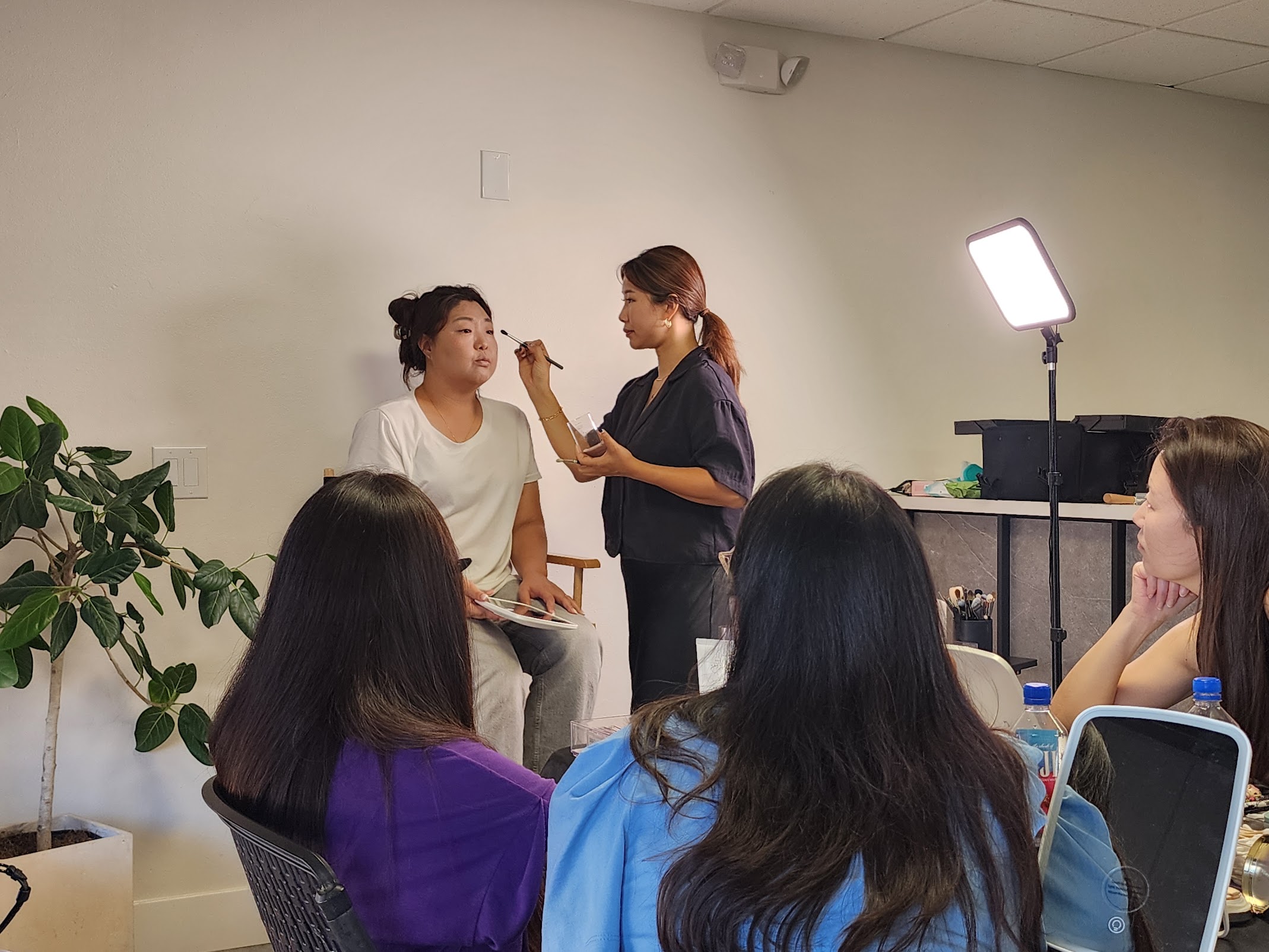 Makeup Lesson